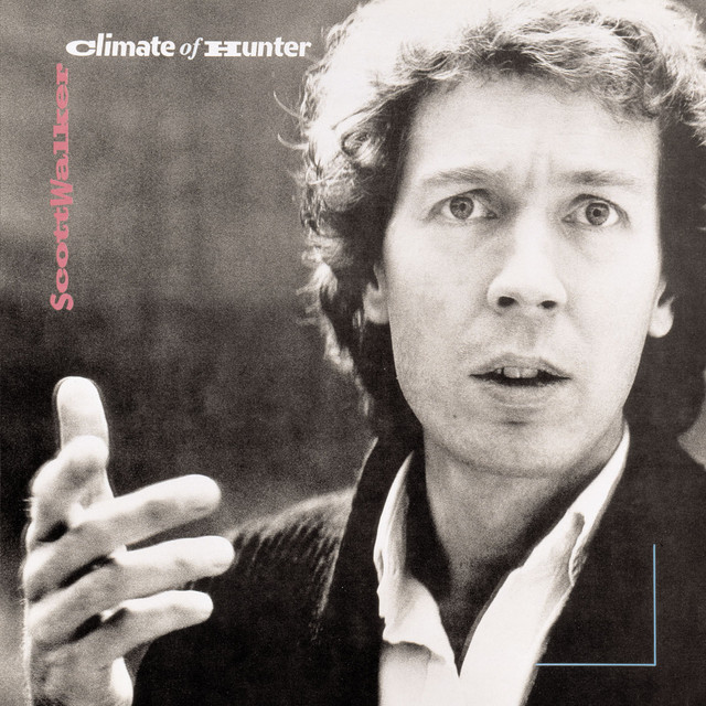 Climate Of Hunter album cover