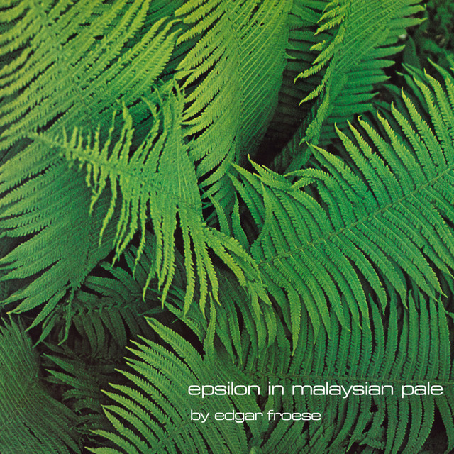 Epsilon In Malaysian Pale album cover