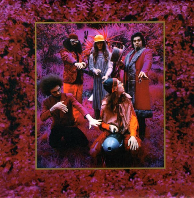 Grow Fins - Rarities 1965-1982 album cover