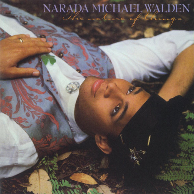 The Nature Of Things album cover
