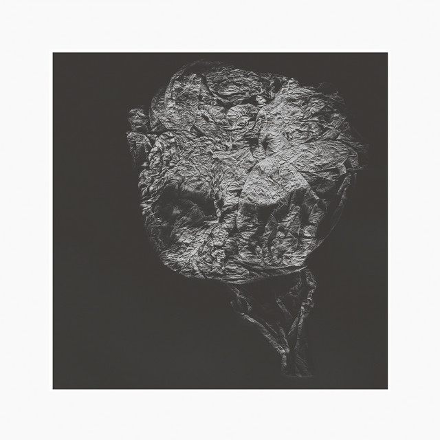 Entities Inertias Faint Beings album cover