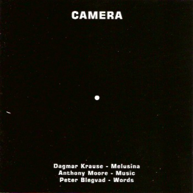 Camera album cover