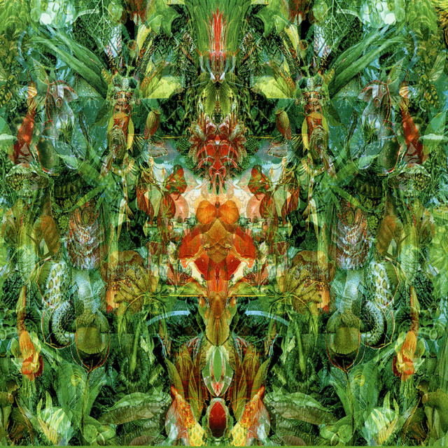 Emerald Aether: Shape Shifting/Reconstructions Of Irish Music album cover