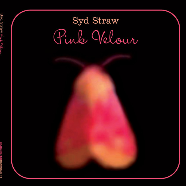 Pink Velour album cover