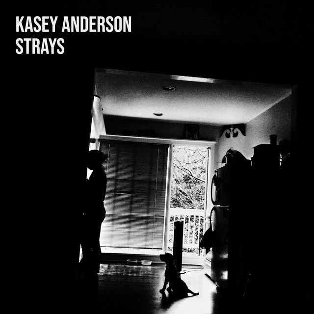 Strays album cover