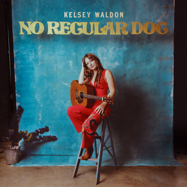 No Regular Dog album cover