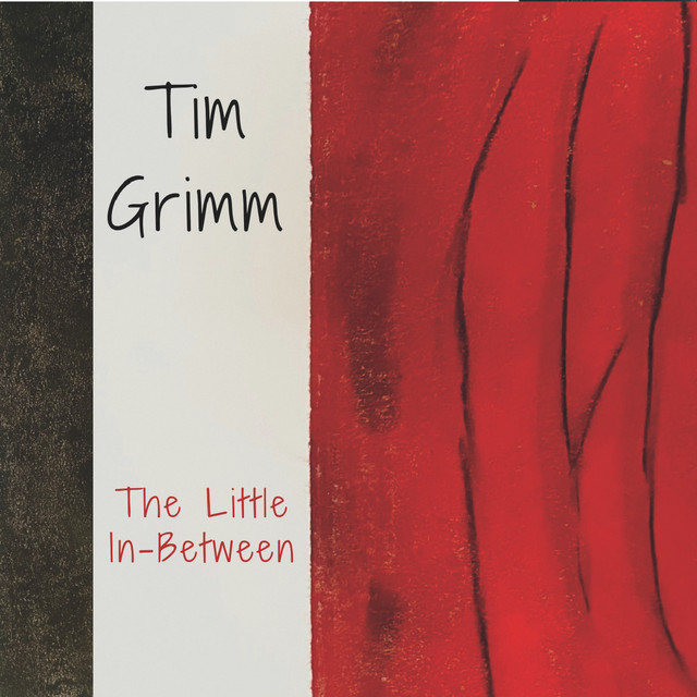The Little in-Between album cover