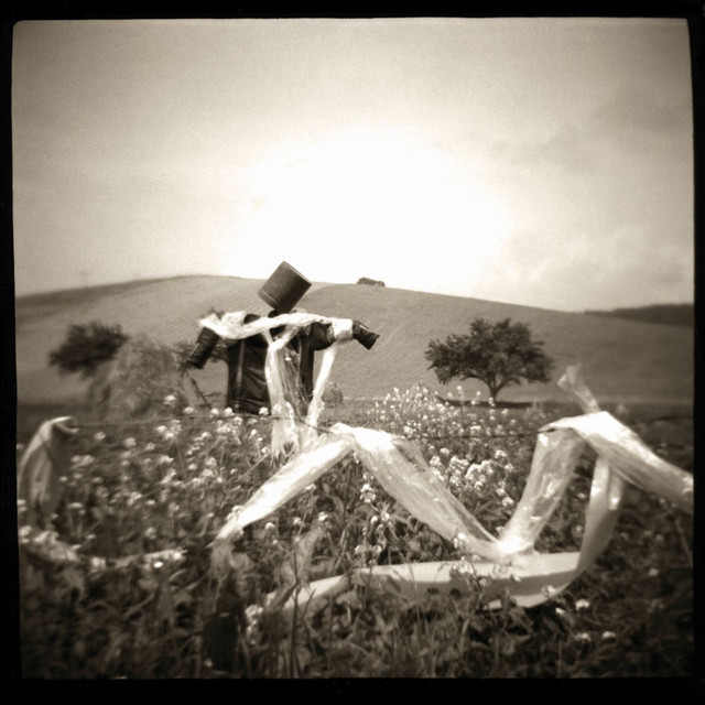 Blackbirds album cover