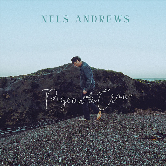 Pigeon and the Crow album cover