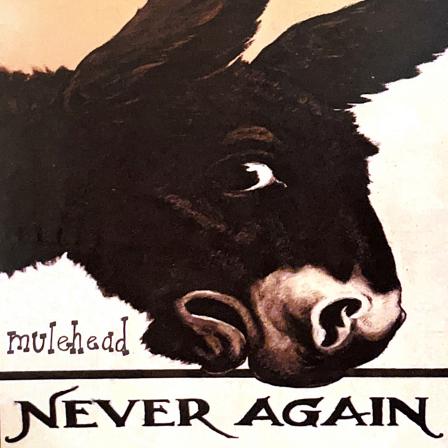 Never Again album cover
