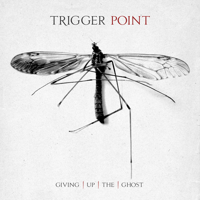 Giving Up The Ghost album cover