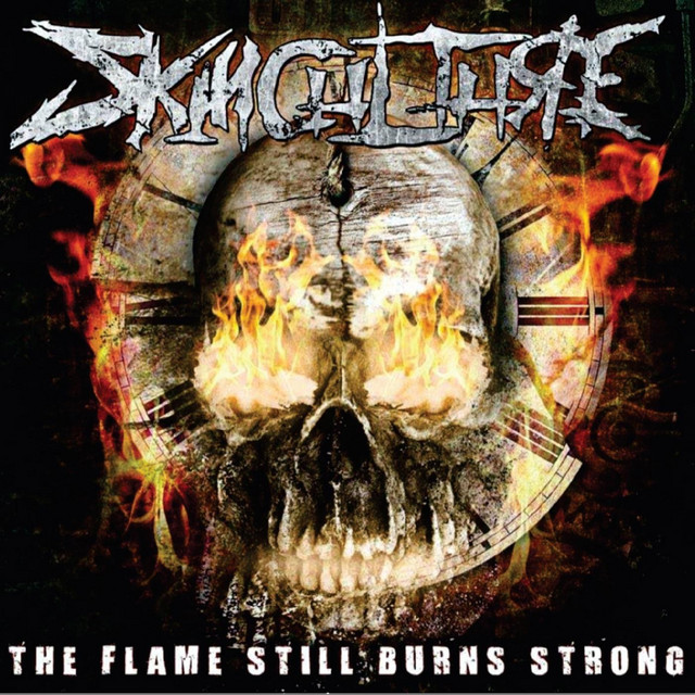 The Flame Still Burns Strong album cover