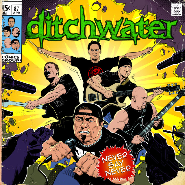 Never Say Never album cover