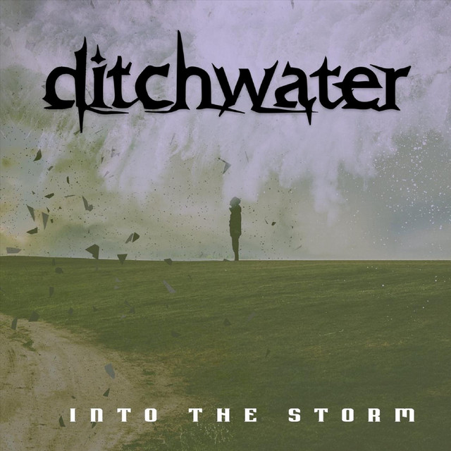 Into the Storm (Remastered) album cover