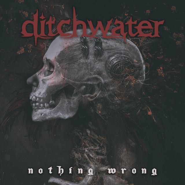 Nothing Wrong album cover