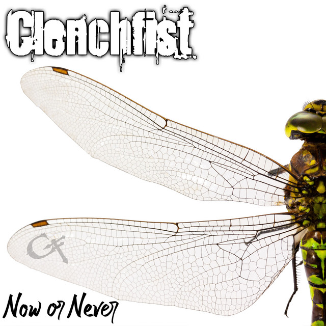 Now or Never album cover