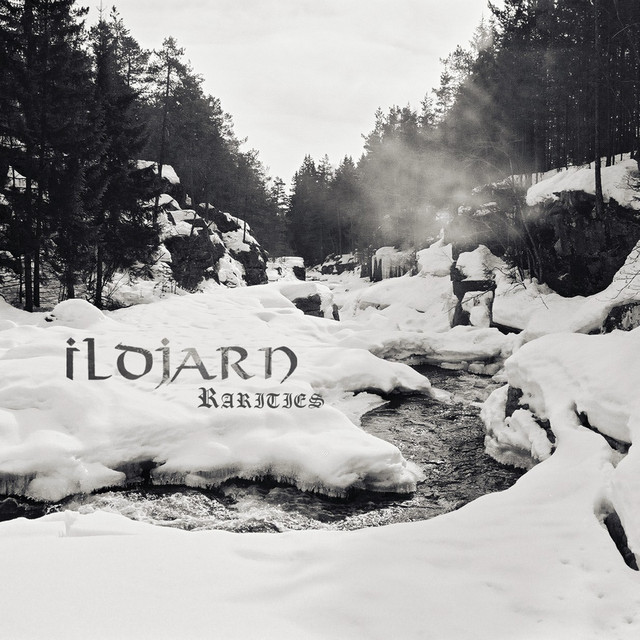 Rarities album cover