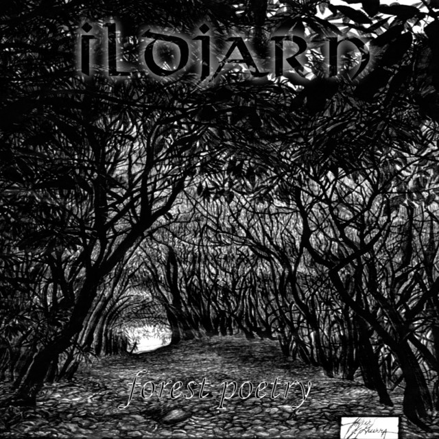 Forest Poetry album cover