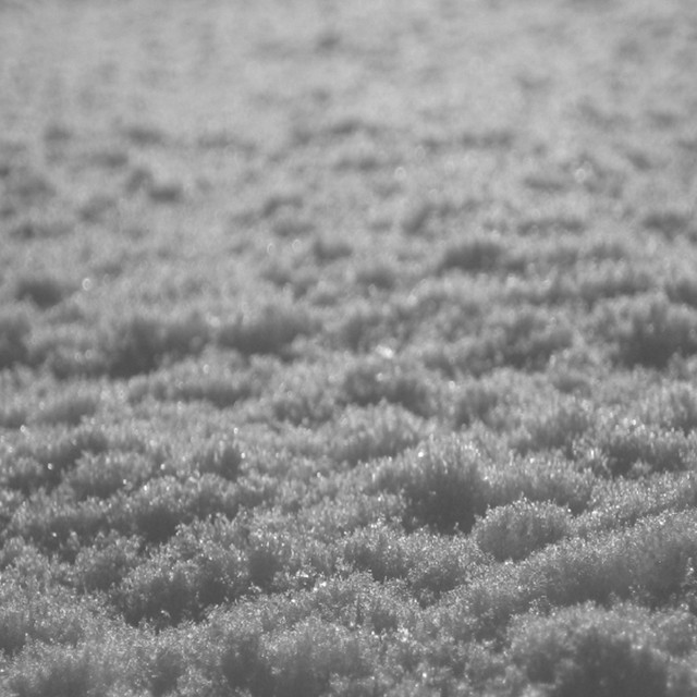 Schnee album cover