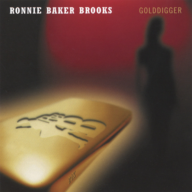 Golddigger album cover