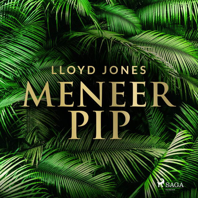 Meneer Pip album cover