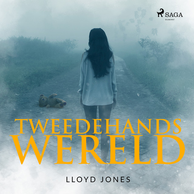 Tweedehands wereld album cover