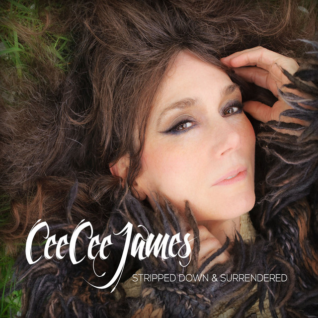 Stripped Down & Surrendered album cover