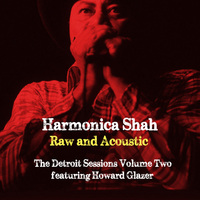 Raw and Acoustic - The Detroit Sessions Vol. Two album cover