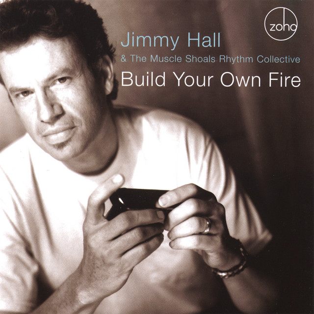 Build Your Own Fire album cover