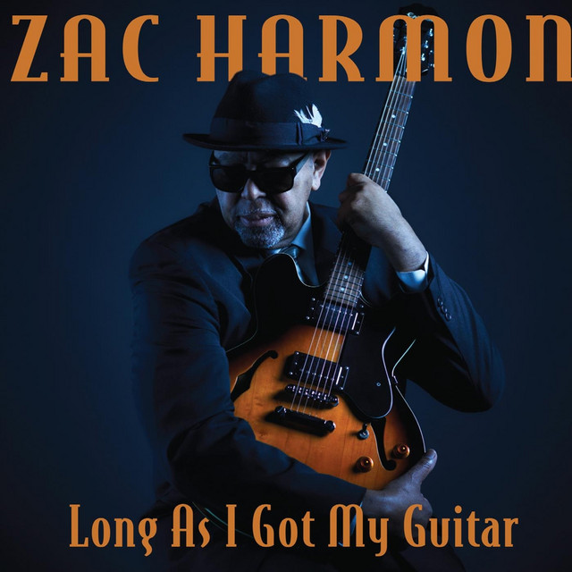Long as I Got My Guitar album cover