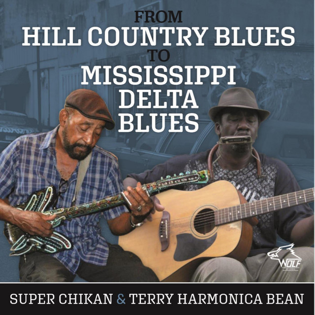 From Hill Country to Mississippi Delta Blues album cover