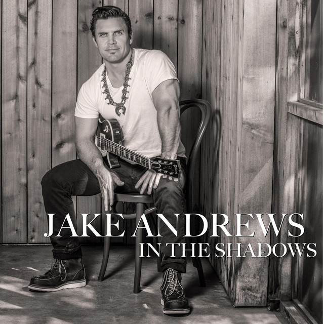 In the Shadows album cover