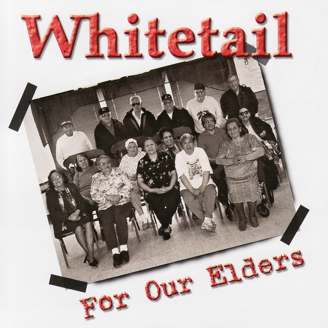 For Our Elders album cover