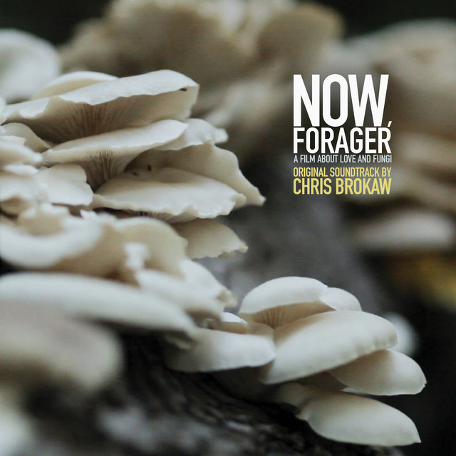 Now, Forager (Original Motion Picture Soundtrack) album cover