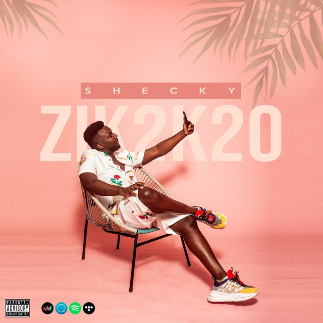 Zik2k20 album cover