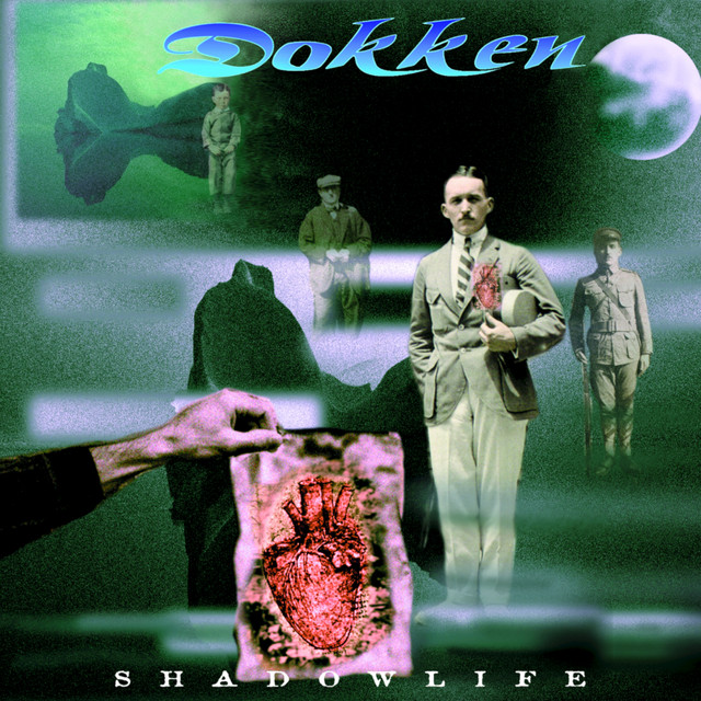 Shadowlife album cover