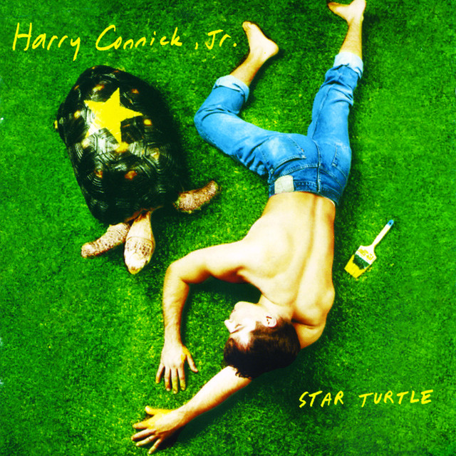 Star Turtle album cover