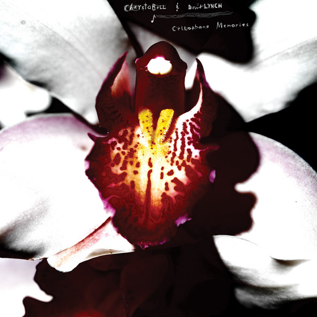 Cellophane Memories album cover