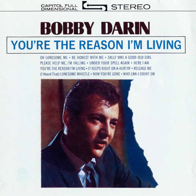 You're The Reason I'm Living album cover