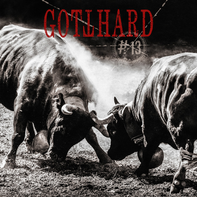 #13 album cover