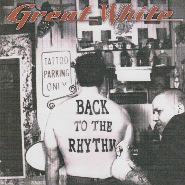 Back to the Rhythm album cover