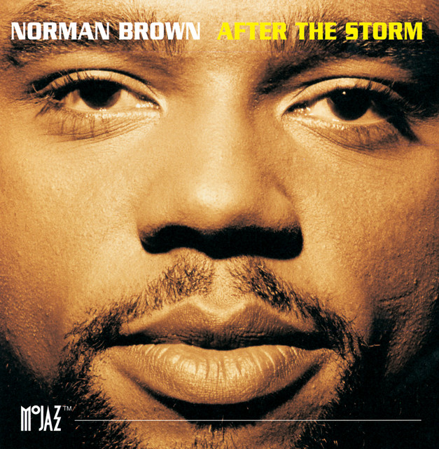 After The Storm album cover