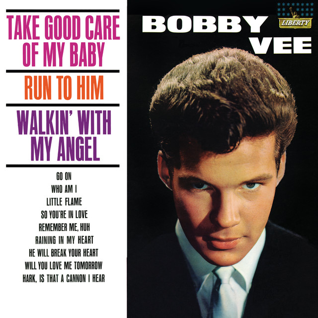 Take Good Care Of My Baby album cover