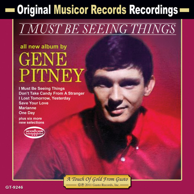 I Must Be Seeing Things album cover