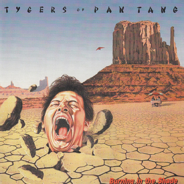 Burning in the Shade album cover