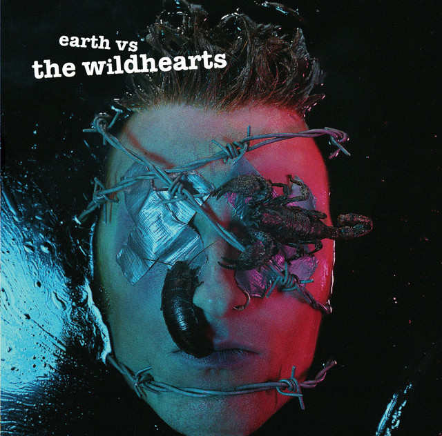 Earth Versus The Wildhearts album cover
