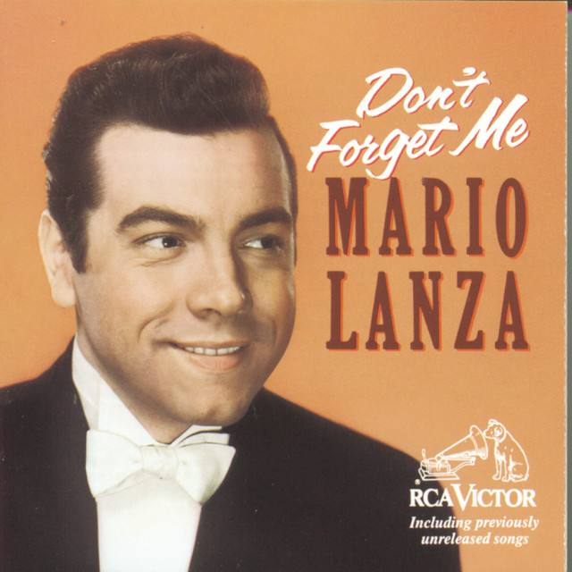Don't Forget Me album cover