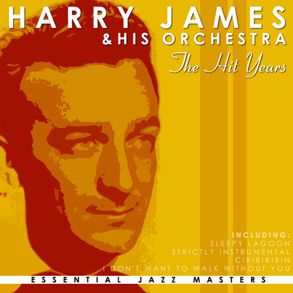 The Hit Years album cover