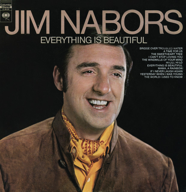 Everything Is Beautiful album cover