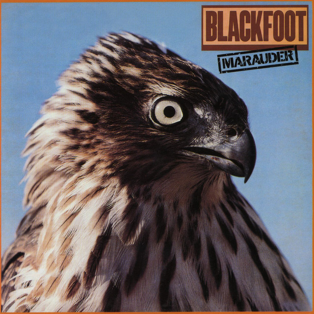 Marauder album cover